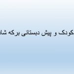 مهدکودک و پیش دبستانی برکه شادی