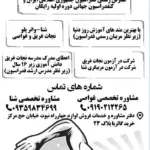 آموزش شنا در عظیمیه