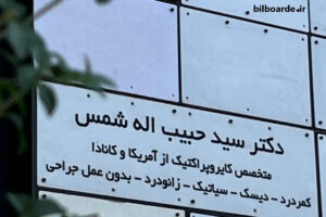 دکتر سید حبیب اله شمس