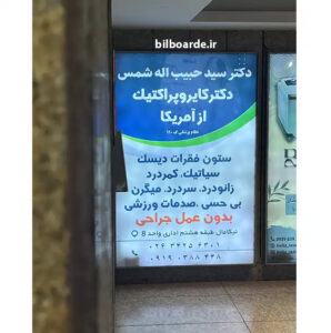 دکتر سید حبیب اله شمس